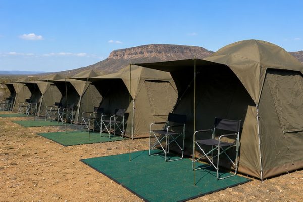 Merino tents